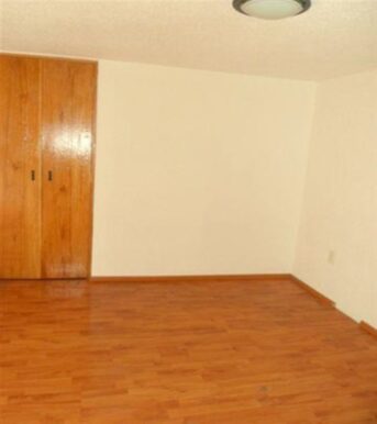 Picture5
