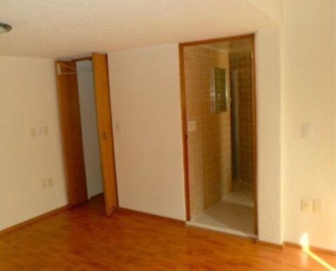 Picture6