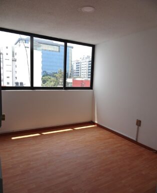 Picture8