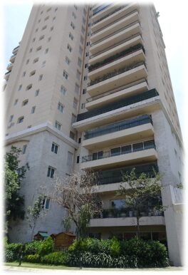 Imagen1