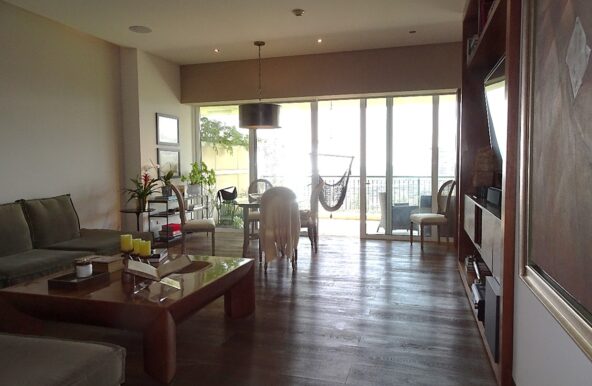 Imagen5